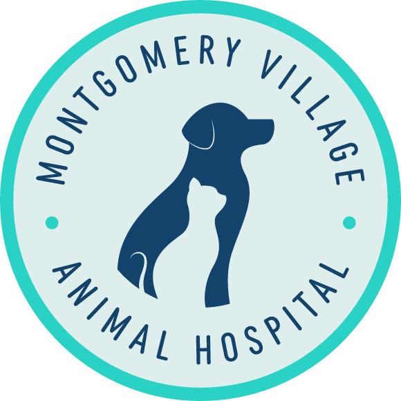 Vet Near Me 20886 - Montgomery Village Animal Hospital